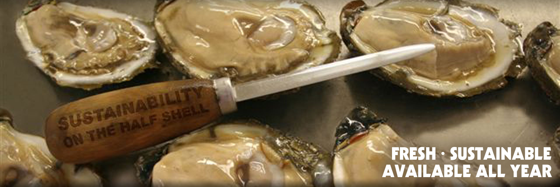 Virginia Oysters: Fresh, Sustainable, and Available All Year.