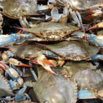 Annual Summer Seafood Festival at Mountain Cove Vineyard